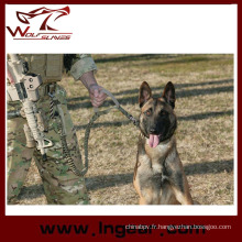 Formation chien sangle ceinture élastique tactique militaire chien laisse Sling